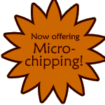 microchipping